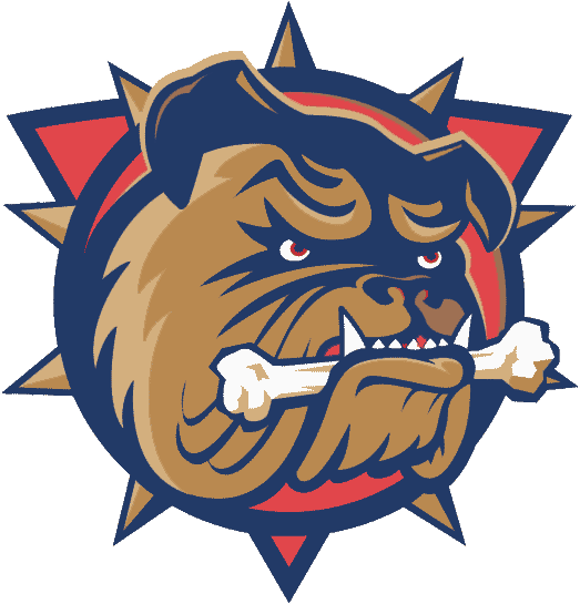 Hamilton Bulldogs 1996 97-2002 03 Primary Logo iron on heat transfer